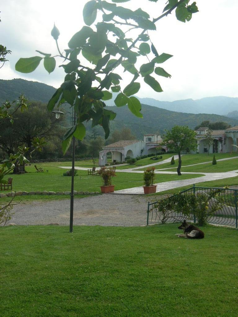 Tenuta Le Terre 1927 Konuk evi San Teodoro  Dış mekan fotoğraf